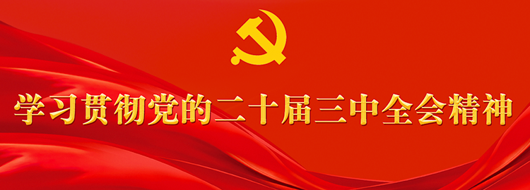 学习贯彻党的二十届三中全会精神